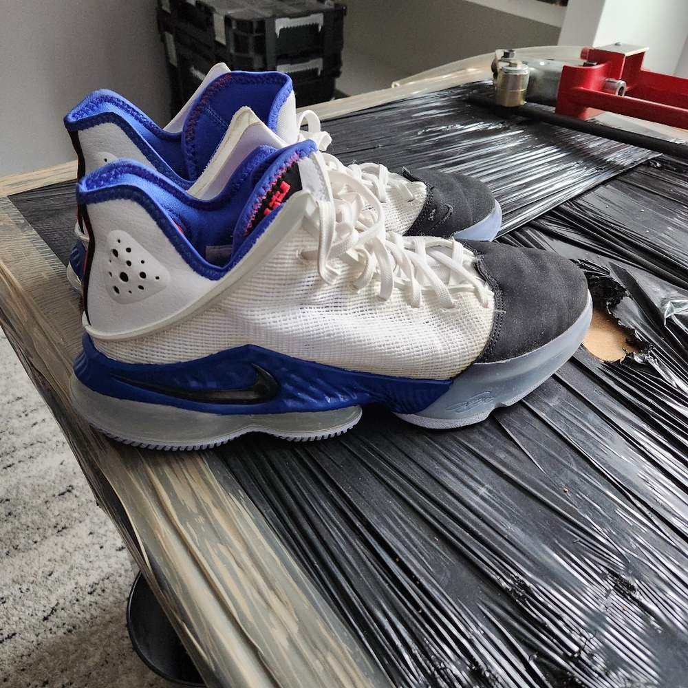 Nike lebron 19 low